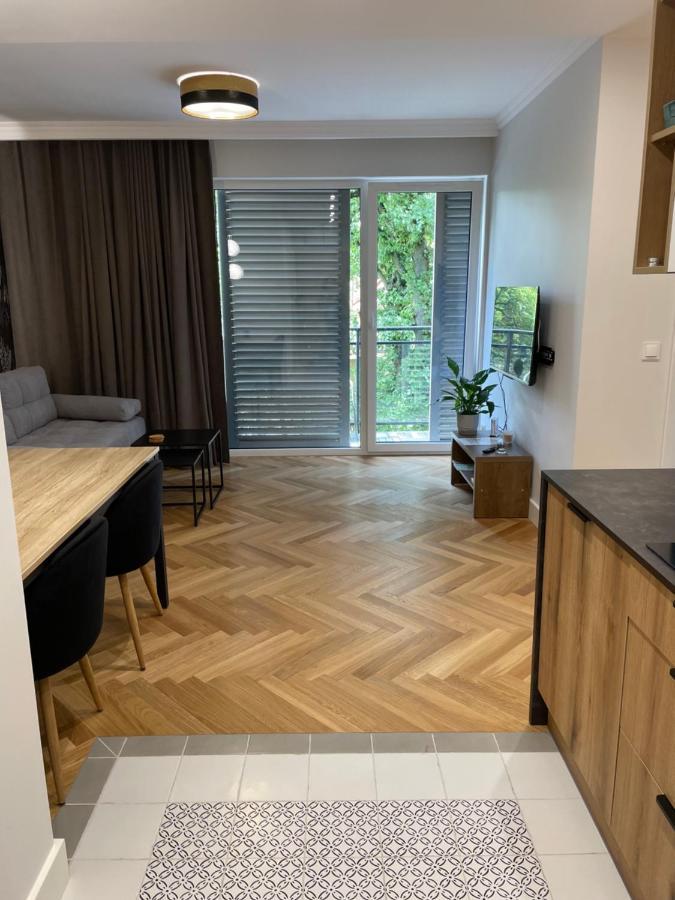 Apartamenty Bluszcz سفينويتشي المظهر الخارجي الصورة
